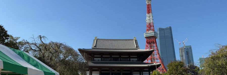 Tokyo Tower and Zojoji Temple