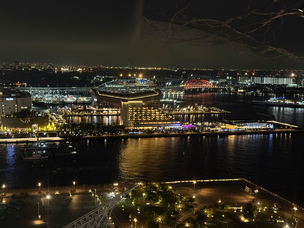 Night view from Kobe Port Tower